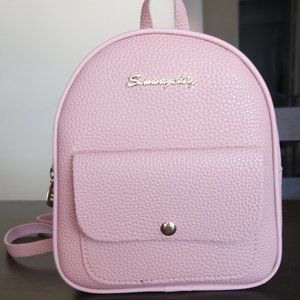 Mini Backpack Purse!